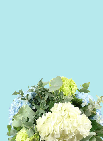 Same day Flowers Deptford